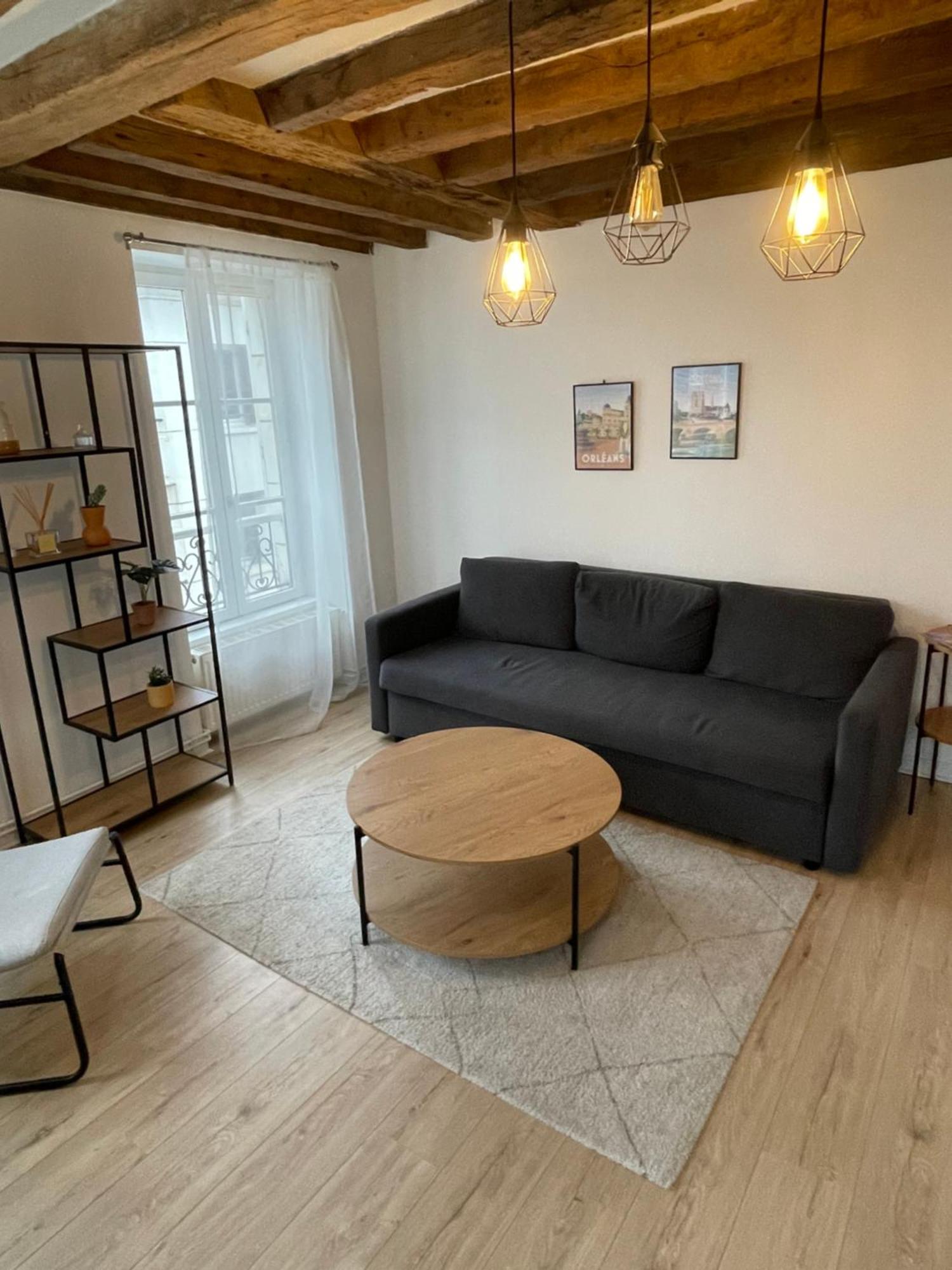Charmant Appartement Orleans ! 外观 照片
